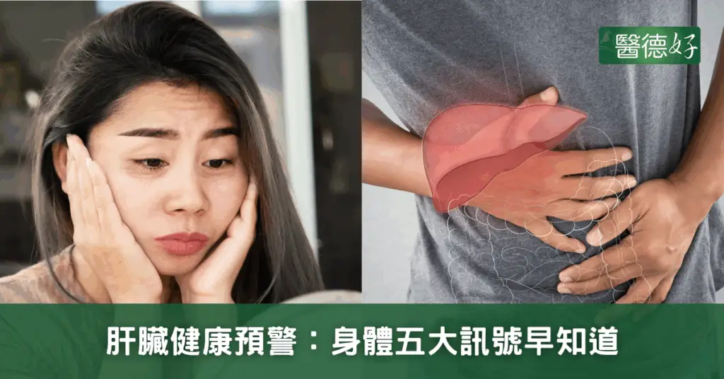 肝臟健康預警：身體五大訊號早知道